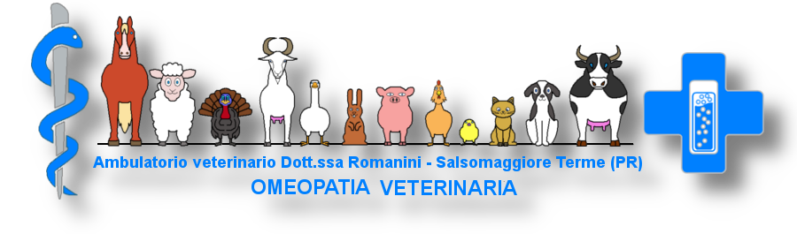Ambulatorio veterinario Dott.ssa Romanini - Salsomaggiore Terme - Parma
