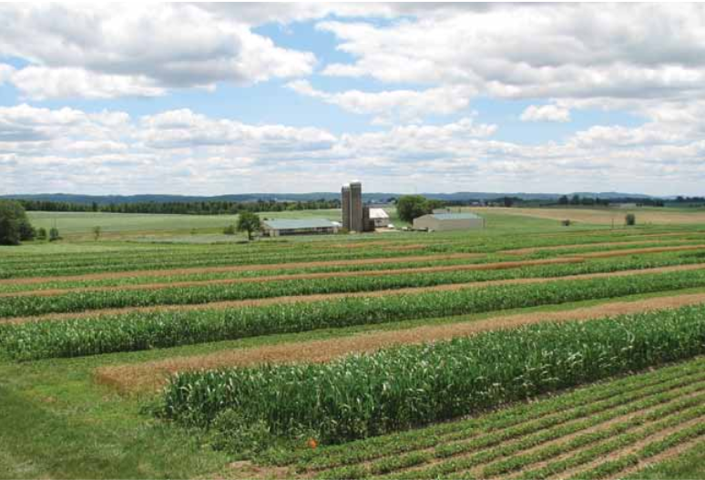 L’agricoltura biologica è produttiva come quella convenzionale, e mantiene il terreno in ottima salute