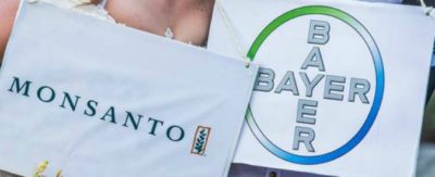 Fusione Monsanto Bayer: “Limitazioni risibili, sempre più urgente piano sementiero per il bio”