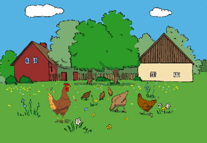 La fattoria didattica - Le galline e le uova