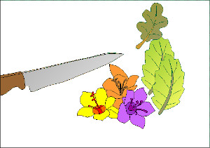 La  preparazione dei rimedi omeopatici