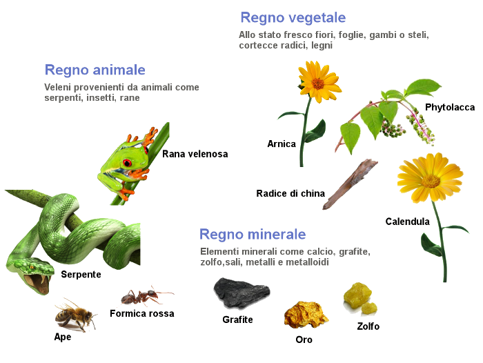 La  preparazione dei rimedi omeopatici