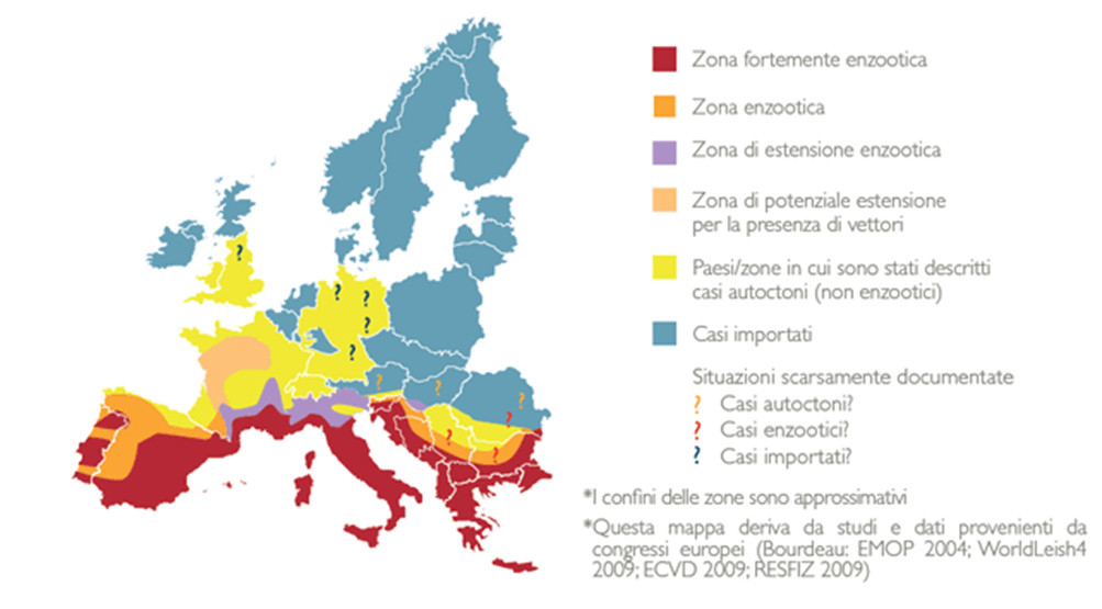 diffusione in Europa della leishmaniosi