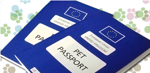 pet passport